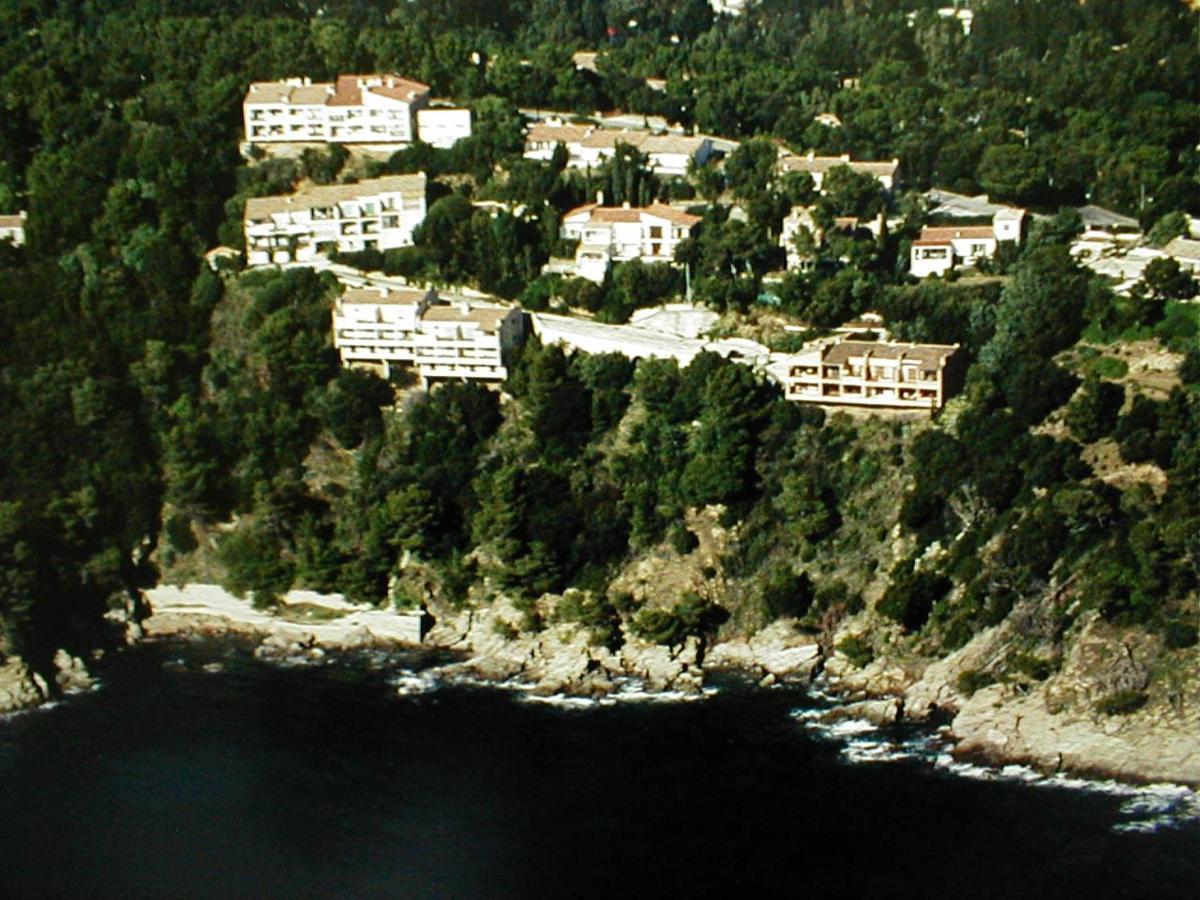 Joli 2 Pieces 4 Personnes Vue Mer Cavalaire-sur-Mer Exteriör bild